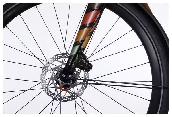 6102759 Vélo de Ville Électrique Bergamont E-Sweep Sport Shimano Claris 8V Mahle 250Wh Orange – Vélo d’Exposition / Très bon État